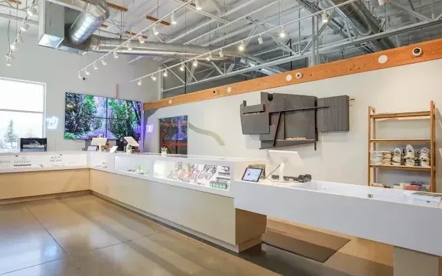 Interior brillante de un dispensario de cannabis con vitrinas, estantes de madera y mercancía